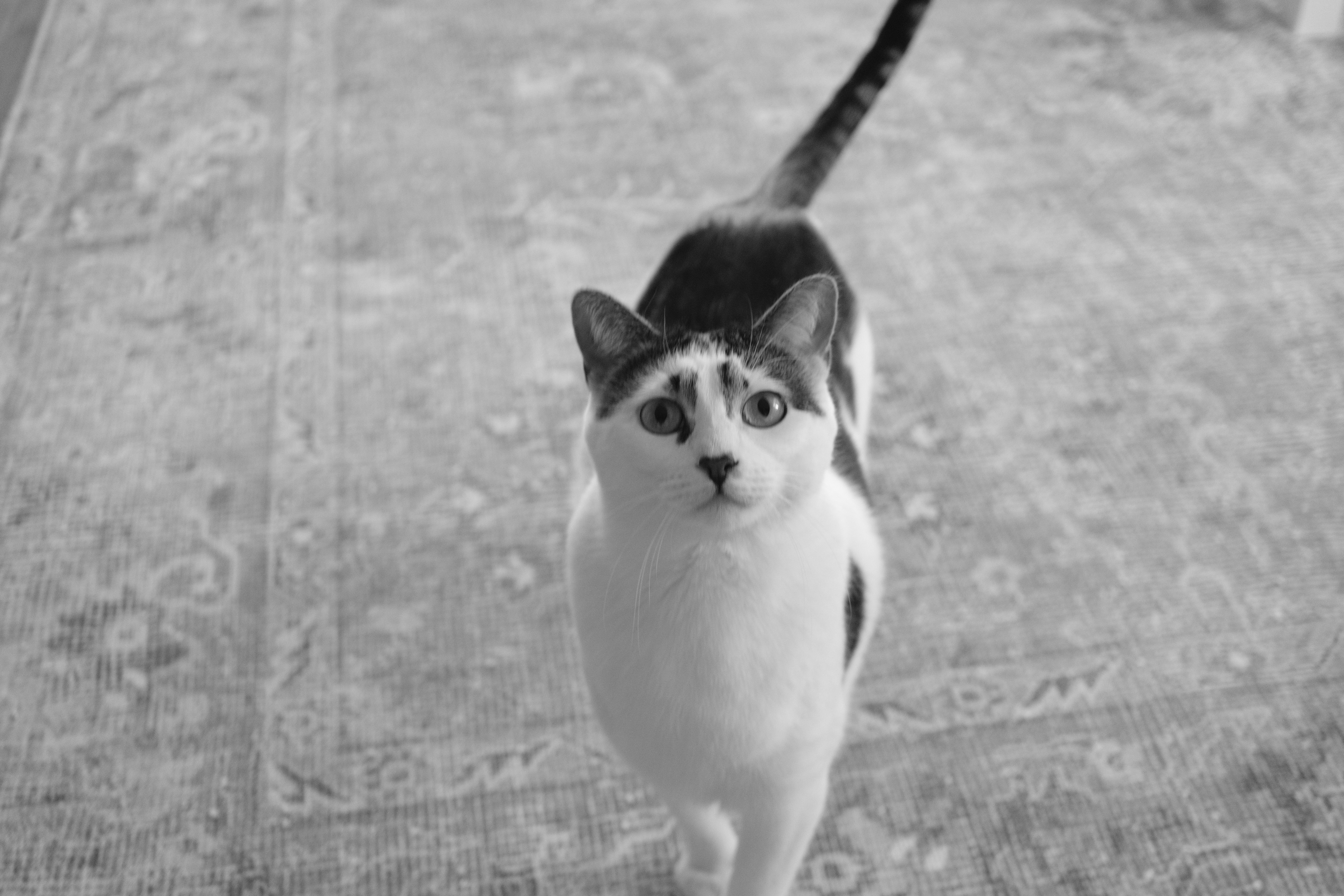 Personal photograph 2